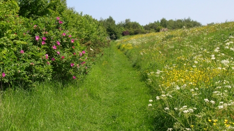 Moulton Marsh