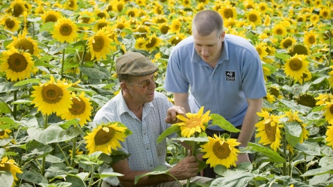 Vine House Farm