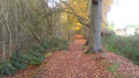 Roughton Moor