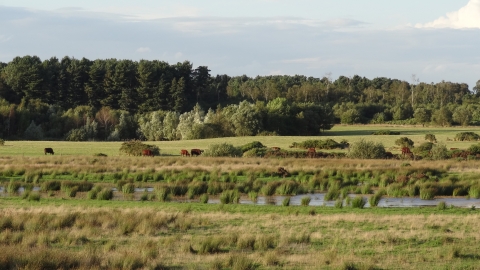 Woodhall Spa Airfield