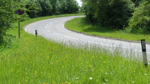 South Witham Verges