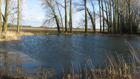 Tetney Blow Wells