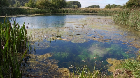 Tetney Blow Wells