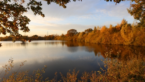 Whisby Nature Park