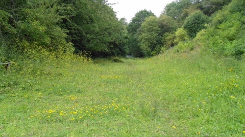 Toft Tunnel