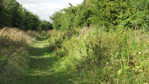 Willoughby Branch Line