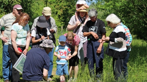 Guided walk