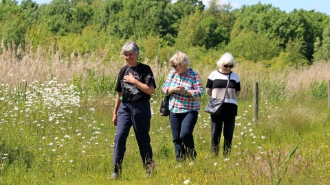 Area Group