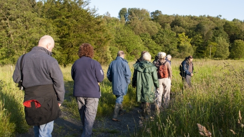 Group walk