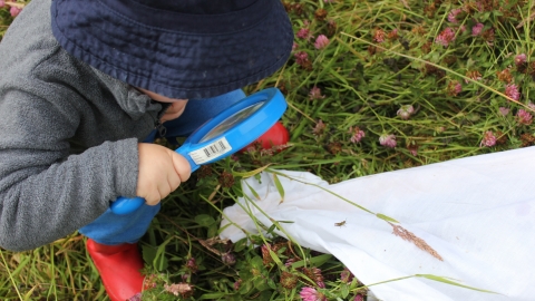 Nature Tots