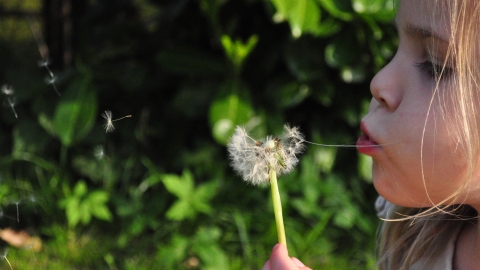 Nature Tots
