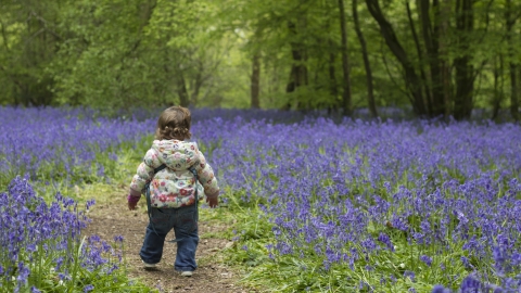 Nature Tots