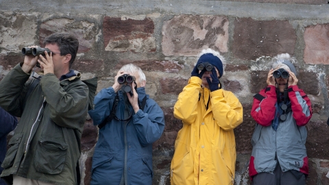 Bird watchers