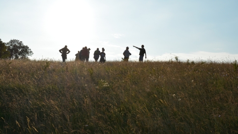 Wildlife walk