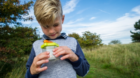 Bug Hunt