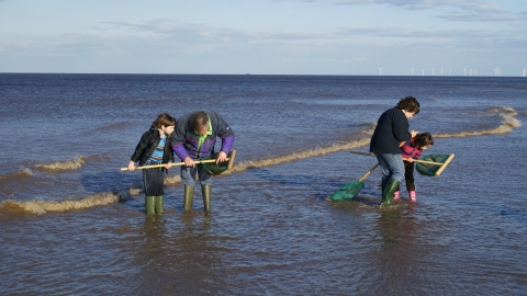 Sea dipping