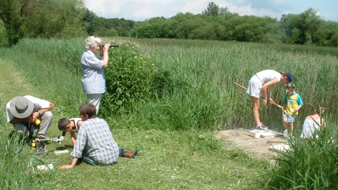 Messingham Sand Quarry