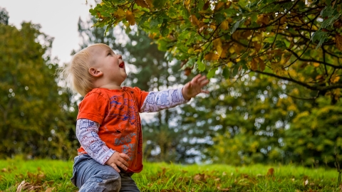 Nature Tots