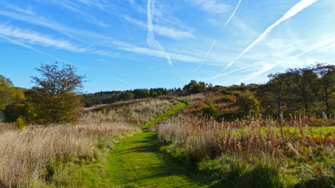 Snipe Dales