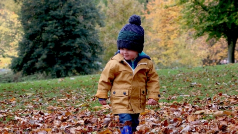 Autumn boy