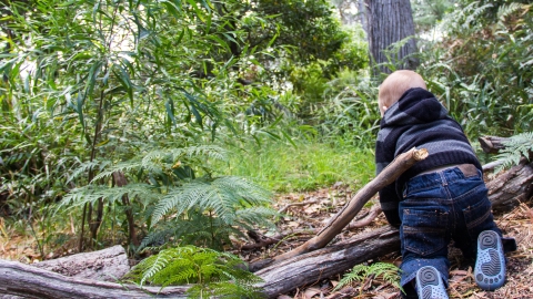 Nature Tots