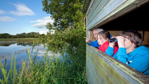 Family birdwatching