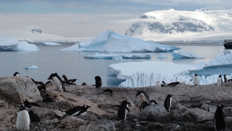 Antarctica