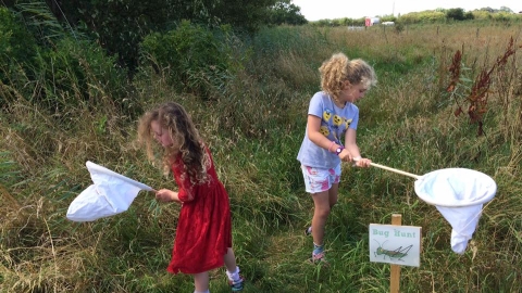 Bug hunt