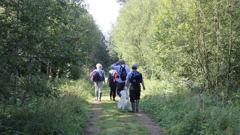 Chambers Farm Wood