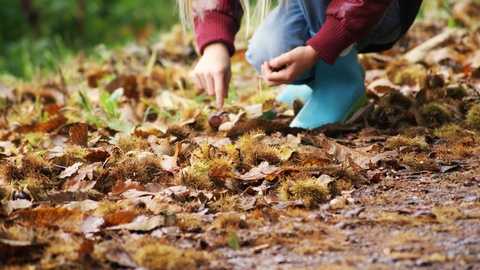 Child foraging