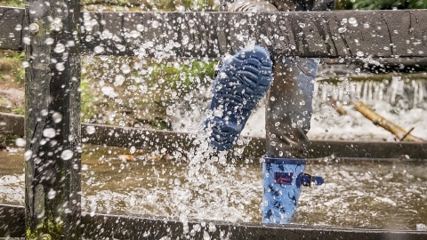 Puddle jump