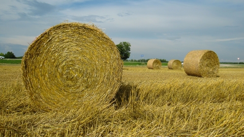 Belarus