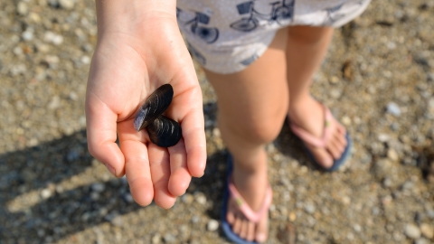 Beachcombing