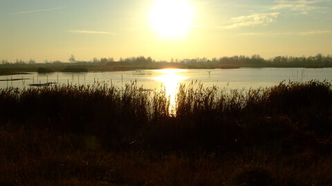 North Cave Wetlands