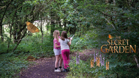 Secret Garden