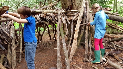 Den building