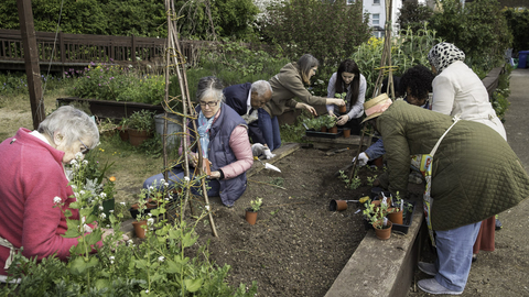 Community garden