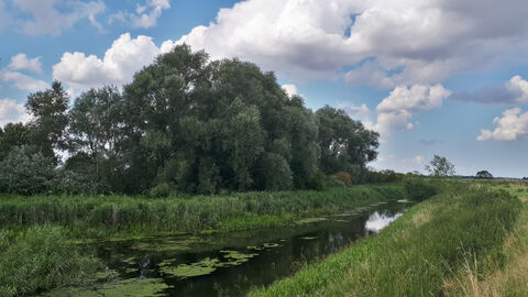 Confluence of the Bourne Eau and River Glen