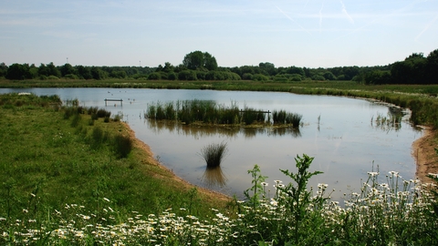 View of a lake at Potteric Carr (c) Kelvin Percival