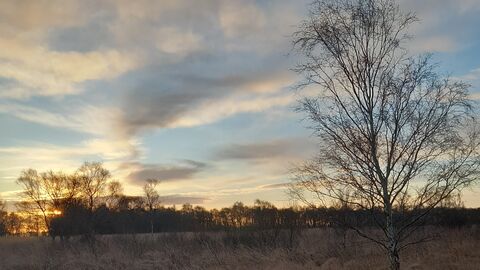 landscape image of Crowle Moor