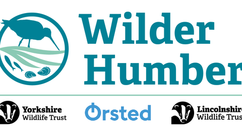 Wilder Humber logo