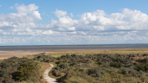 View of sand dunes and beach at Gibraltar Point (c) Barrie Wilkinson