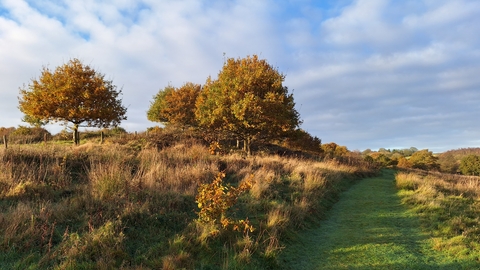 Snipe dales November