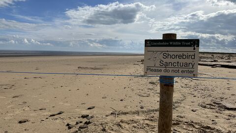 Sign and fenceline of the Shorebird Sanctuary at Gibraltar Point
