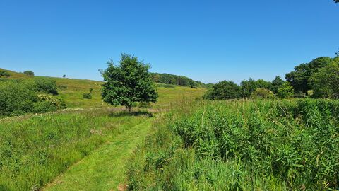 Snipe Dales nature reserve