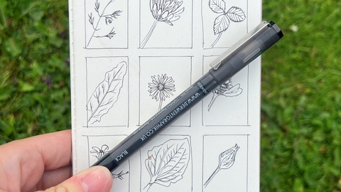 Nature sketching