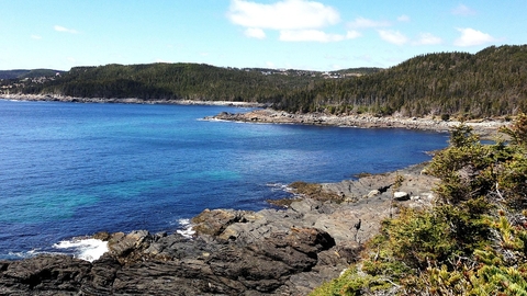 The rocky coastline and sea of Newfoundland