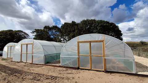sea view nursery polytunnels