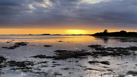 high tide at gibraltar point