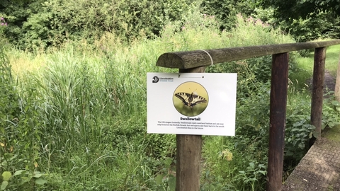 Butterfly trail board at Snipe Dales